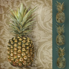 Pineapple Welcome I