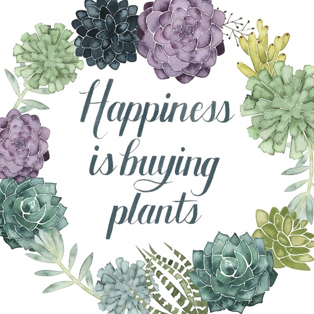 Plant Happiness I