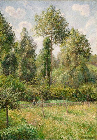 Poplars, Eragny