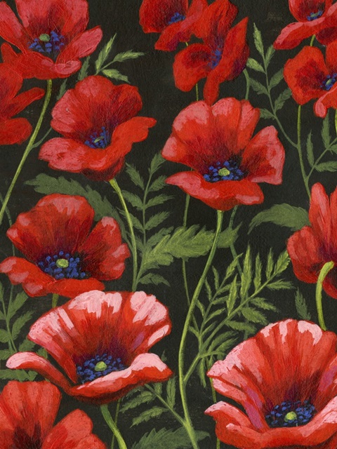 Poppies at Midnight I