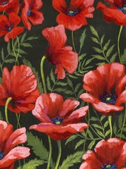 Poppies at Midnight II