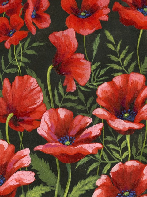 Poppies at Midnight II