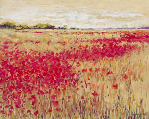 Poppies' Evening Light I