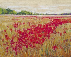 Poppies' Evening Light II