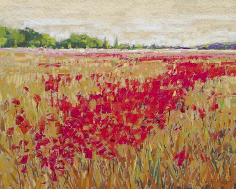 Poppies' Evening Light II