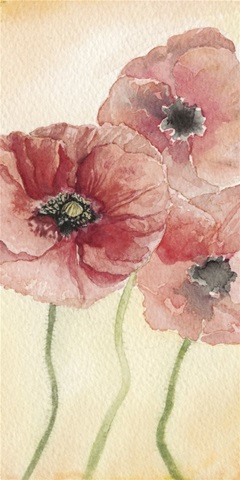 Poppy Composition I