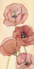 Poppy Composition II