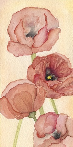Poppy Composition II