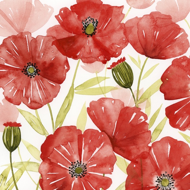 Poppy Screen I