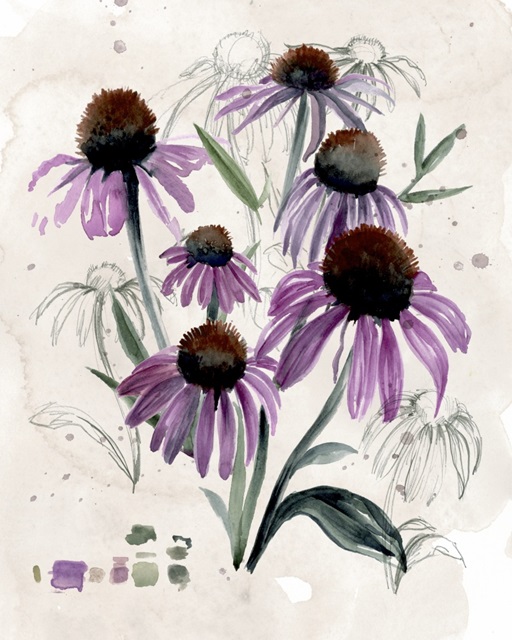 Purple Wildflowers II