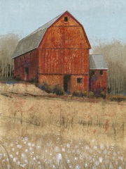 Red Barn View I