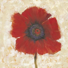 Red Poppy Portrait II