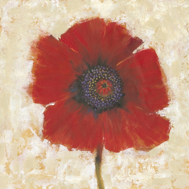 Red Poppy Portrait II