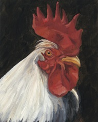 Rooster Portrait I
