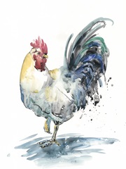 Rooster Splash I