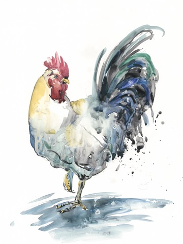 Rooster Splash I