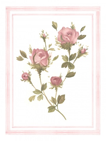 Rose Pattern I