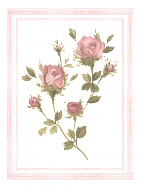 Rose Pattern I