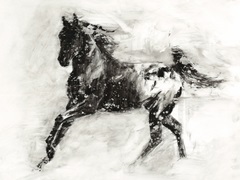 Rustic Appaloosa II