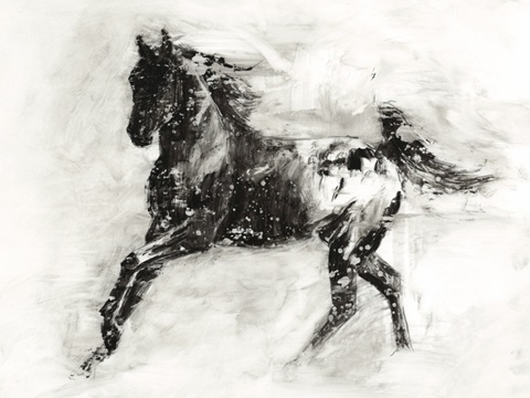 Rustic Appaloosa II