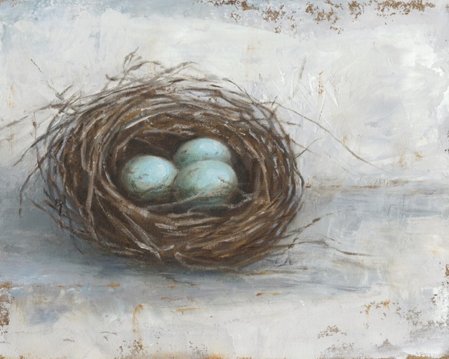 Rustic Bird Nest I