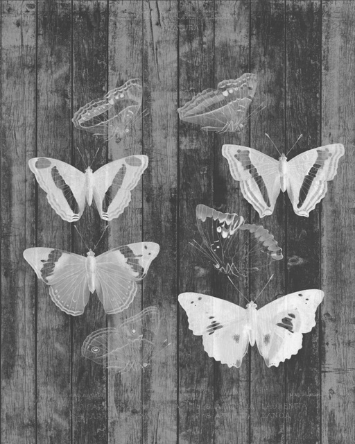 Rustic Butterfly Chart I