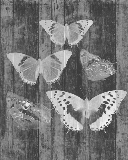 Rustic Butterfly Chart II