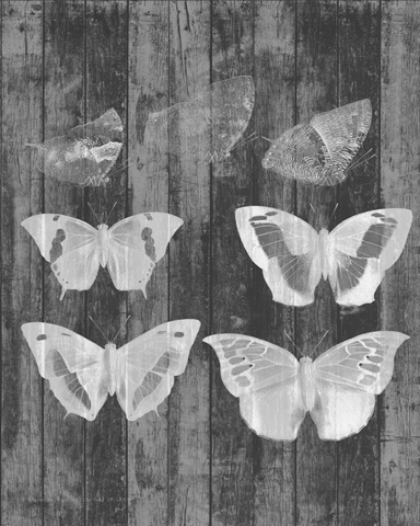 Rustic Butterfly Chart III
