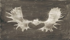 Rustic Moose Mount II