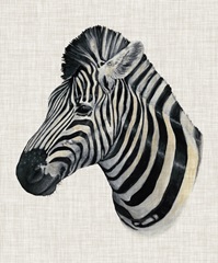 Savanna Impressions I