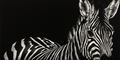 Scratchboard Incline