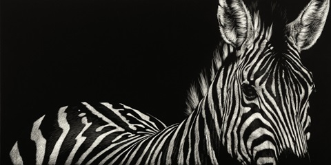Scratchboard Incline