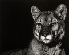 Scratchboard Nightfall