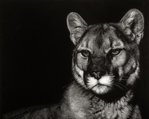 Scratchboard Nightfall