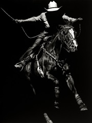 Scratchboard Rodeo III