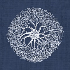 Sea Anemone on Indigo II