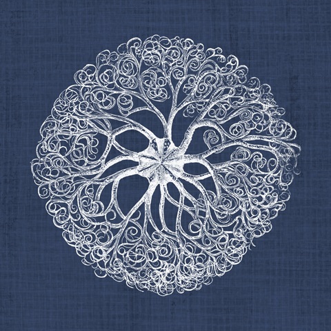 Sea Anemone on Indigo II