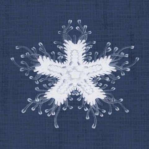 Sea Anemone on Indigo III