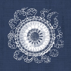 Sea Anemone on Indigo IV