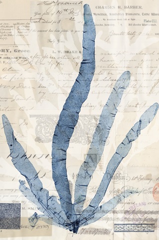 Seaweed Arrangement II