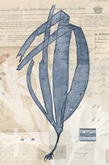 Seaweed Arrangement IV