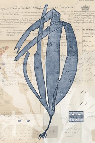 Seaweed Arrangement IV