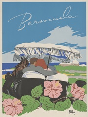 See South America VI