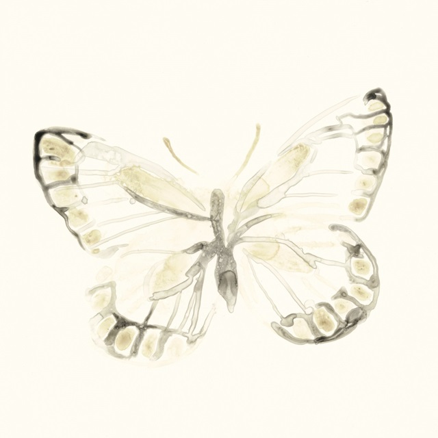 Sepia Butterfly Impressions I