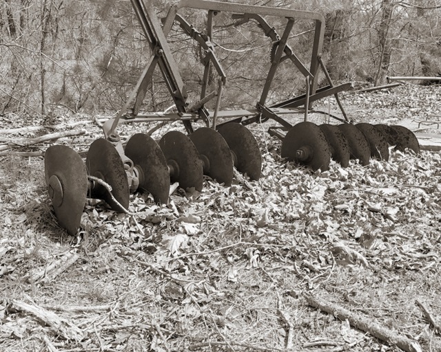 Sepia Farm Study III