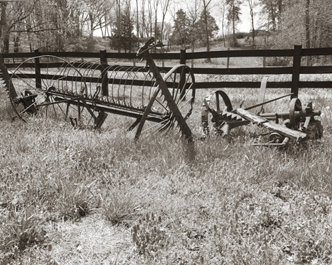 Sepia Farm Study IV