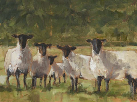 Sheep Family II