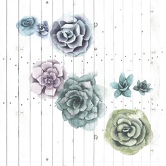 Shiplap Succulent Cluster IV