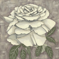 Silver Rose II