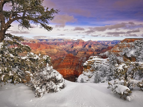 Snowy Grand Canyon II